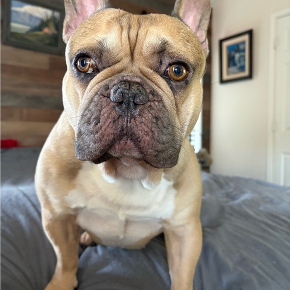 Thank Your Share Show Host - read description! - Picture 3 of 15